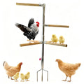 Chicken Perch Toy for Coop - Adjustable Chicken Roosting Bars | Roosting Bars for Chickens in Coop (6pcs) - Chicken Perch Run with 3-Prong Ground Plug, Chicken Roost Perch for 4-7 Chickens - size: H=61.2inches