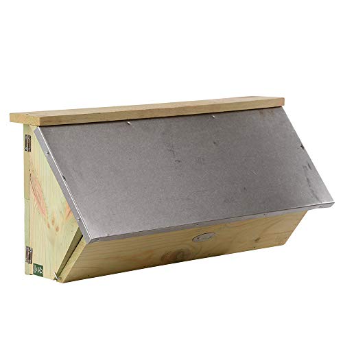 Esschert Design NKC Nest Box For Common Swift