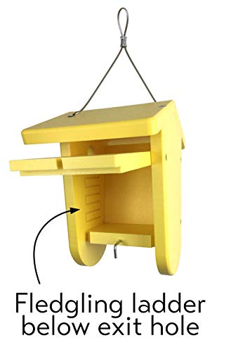 Recycled Moraine Bird House Nest Box for Wrens & Chickadees (Chocolate/Chocolate) - color: Chocolate/Chocolate