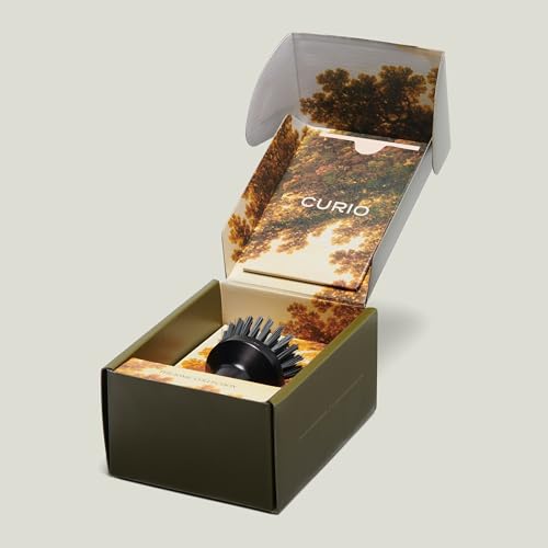 Ionic Palm Brush, Magnetized to Stand Upright, Stainless Steel with Replaceable Head, Silver
