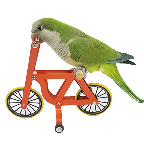 QBLEEV Bird Intelligence Training Toy - Parrot Puzzle Bicycle for Birds | Trick prop training education interactive table top & foot talon toy for african grey cockatoo conures cockatiel quaker - size: Small