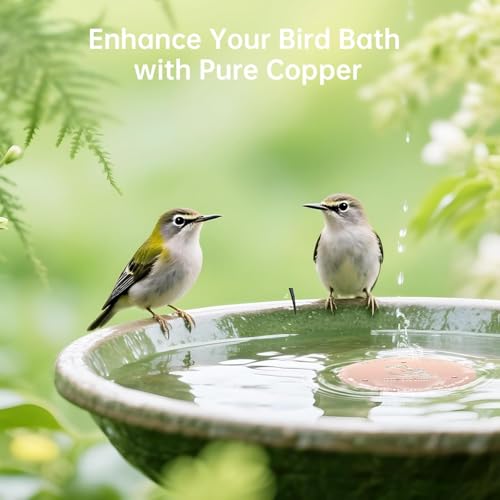 4 Pack Copper Disc for Bird Bath, Premium 0.6mm Sturdy 99.99% Pure Copper Cleaning Disc, Triple-Point Support Ensures Clean Water Year-Round, Compatible with All Outdoor Birdbath Bowls