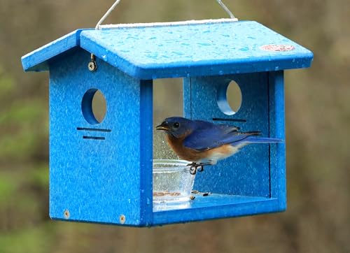 Recycled Bluebird Mealworm Feeder Hang or Mount (Blue, Blue) | Hang or Mount - color: Blue, Blue