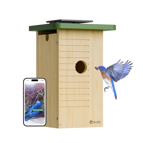 Smart Bird House with Camera Solar Powered, 1080HD Live Video & Night Vision for 24/7 Nesting Recording, Auto Detect & Notify, Ideal Nature Gift for Bird Lovers, AI Identify Lifetime Free