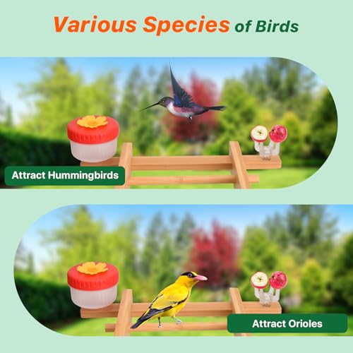 Smart Bird Feeder with Camera Solar Powered, 4K UHD Video Live Stream 8MP Photos, AI Bird Species Identification, Instant Arrival Alerts, Weatherproof Bamboo Design, Best Gift for Bird Lovers