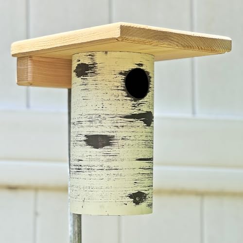 DutchCrafters Cedar Wood Pole Mount Gilbertson Bluebird House with Removable Base, Weatherproof Wooden Birdhouse Blue Bird Nesting Box for Outdoors - color: Natural