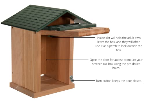 Screech Owl House Cedar Nesting Box with Poly Lumber Roof, Saw-Whet Owl Box for Outside, Drainage Ventilation, Easy Cleanout, Made in USA, Green - color: Green
