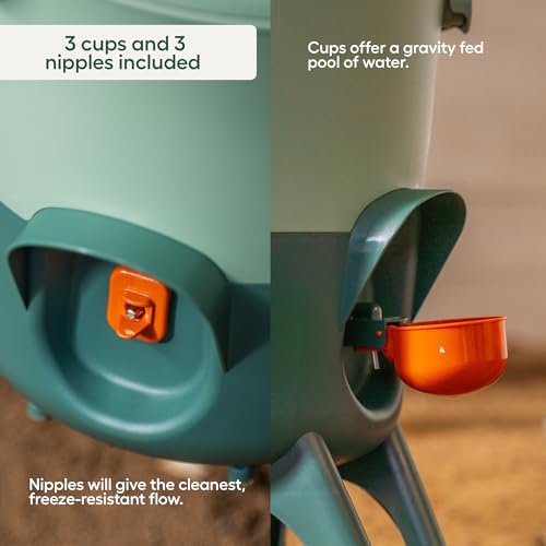 Omlet Insulated Chicken Waterer, 1.5 Gallon | Stay-Clean Automatic Water Dispenser for Chickens | BPA-Free | Anti-Roost Domed Lid | Includes 3 Cups & Nipples | Eglu Green - color: Eglu Green, size: 1.5 Gallon