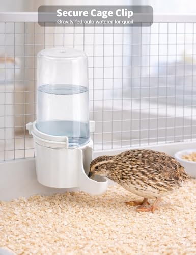 Quail Chick Waterer with Anti-Drowning Shallow Tray, 16.6 fl oz Automatic Gravity Button Quail Waterer, Hanging or Free-Standing Bird Water Dispenser for Wire Mesh Cages and Brooders (White) - color: White