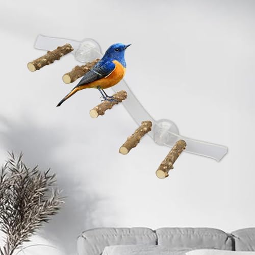 Suction Cup Wood Bird Perch for Windows and Showers, 3.94 x 14.96 in Parrot Stand for Small and Medium Birds