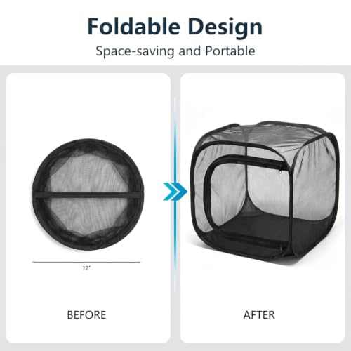 Insect & Butterfly Habitat Cage, Portable Pop-Up Terrarium with Mesh Sides, Bug Catching & Observation Enclosure for Caterpillars, Small Insects, Outdoor & Classroom Use, 12 Inches Tall - color: Black/Black, size: 12 × 12 × 12 inches