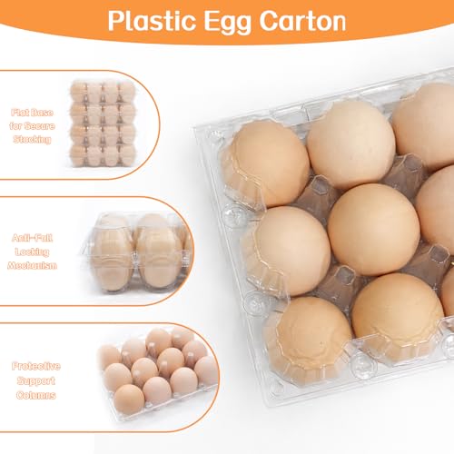 WIKDAY Plastic Egg Cartons 100 Pack 12 Count Cheap Bulk Clear | with Date Tracking Stickers Egg Care Instructions, Dozen Reusable Empty Egg Containers for Chicken Eggs Storage Farm Markets