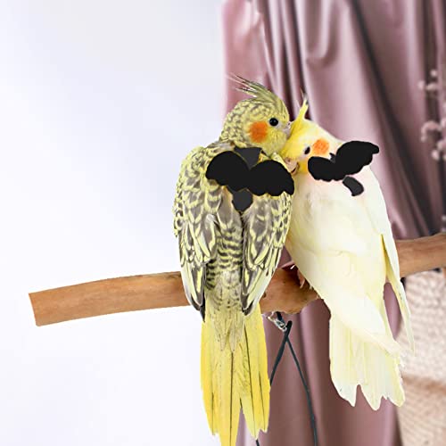 Dnoifne Pet Parrot Bird Harness and Leash, Adjustable Training Design Anti-Bite, Bird Nylon Rope with Cute Wing for Parrots, Suitable for Scarlet, Keck, Mini Macaw and Same Size Birds (Black) - color: black
