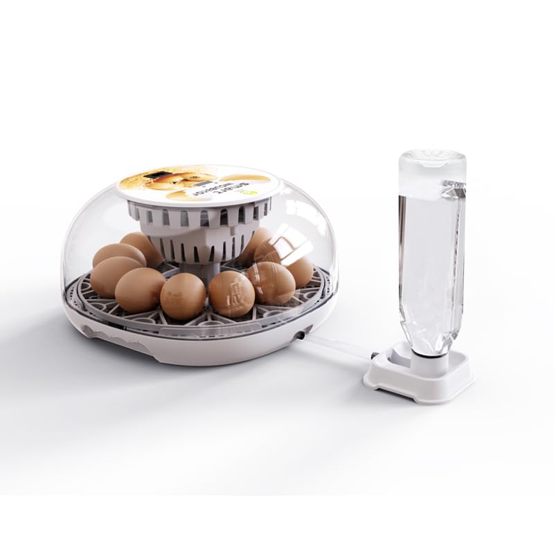 Egg Incubator, 12 Egg Capacity, Automatic Egg Turner, 360° Viewing, Temperature and Humidity Control, for Chicken, Duck, and Quail Eggs