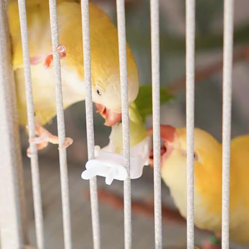 10 Pieces Millet Holder for Bird Cages, White Plastic Fruit, Vegetable, Snacks Food Feeder Clips Cuttlebone Holder for Small Bird Parrot Parakeet Budgie Cockatiel Conure Cockatoo Macaw Cage Accessorie - color: White