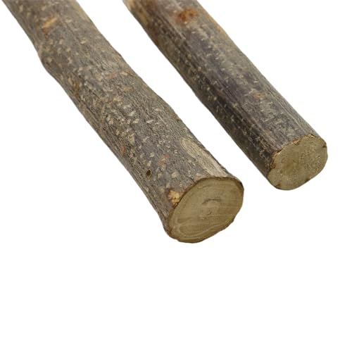 Bird Swing Parrot Perch Stand, Natural Wood Parrot Cage Toys | For Parakeet Cockatoo Budgie Lovebirds Cockatiel, Small Animal