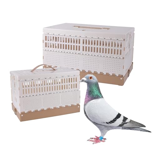 Plastic Foldable Pigeon Cage with Handle, M, Three Doors | Portable Bird Travel Carrier Cage, Pigeon Cage Pairing Cage, Pigeon Nest Box Easy to Clean for Training Release Competition - size: 16.9"L x 11.0"W x 9.4"H