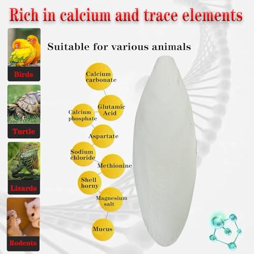 5.5"-7.1" inches Large Cuttlebone for Birds - 100% Natural Cuttlefish Bone Bulk Chew Toy Bird Bites Calcium Stone for Canaries Tortoises,Snails,Reptiles,Parrots,Cockatiel -3pcs - size: 3PCS