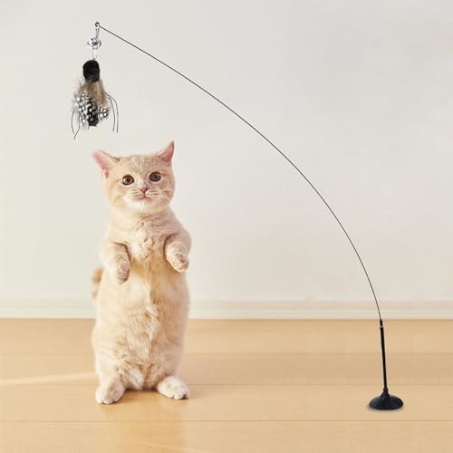 6 Pieces Cat Feather Toys Replacement Bird Insect Cat Toy Wand Refills Cats Toy Replacement Natural Bird Feathers for Cats Toys - color: 6 Pcs Bird Insect