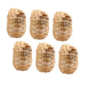 SUPVOX 6pcs Handmade Bamboo Bird Nest Finch Bird Nests for Cages Bird House for Balcony Bird House for Warm Shelter Garden Hand Woven Art Crafts Natural Bird's Nest
