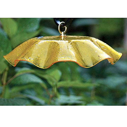 Birds Choice Weatherguard Bird Feeder Dome | 13in Rain Cover | Yellow | Polycarbonate Cover for Hanging Feeders, Helps Keep Seed Dry, Color Suited to Butterfly Feeders - color: Yellow