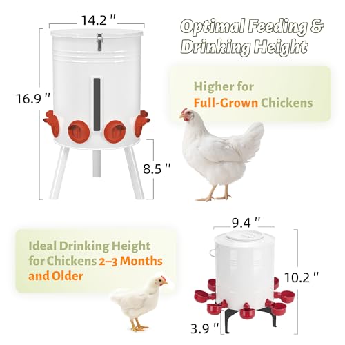 KOL 50 LB Chicken Feeder & 3 Gallon Chicken Waterer Set, All-Metal No-Waste Poultry Feeder & Automatic Gravity Waterer with 8 Ports & 8 Cups Chicken Coop Accessories