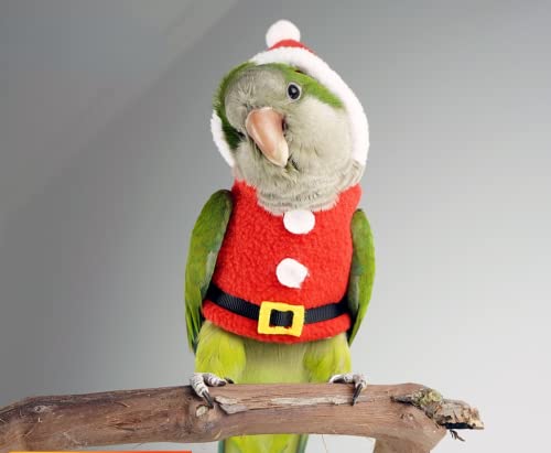 Bird Clothes Birds Flight Suit, Christmas Hoodie for Parrots Cockatiel Sun Conure Christmas Party Cosplay Photo Prop Bird Shirt Small Animals Apparel (Without Diaper,Amazon) - size: Amazon