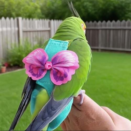 Pet Bird Diaper Harness Adjustable Parrot Harness and Leash Set Cockatiel Flight Suit with 60 Inch Leash Bow Tie Bird Flying Clothes for Conures Cockatoos Cockatiel Pigeon(Pink, Medium) - color: Pink, size: Medium