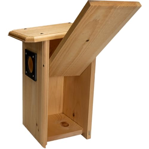 Northern Flicker House