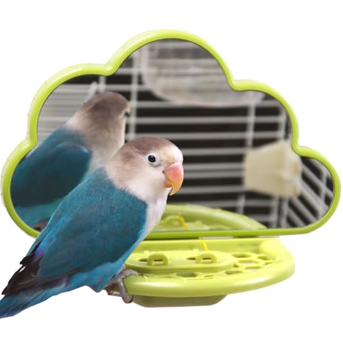 Bird Mirror Toy with Perch & Slow Feeder, Bird Cage Accessories Parakeet - color: Green