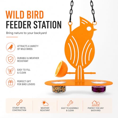 Hanging Oriole Bird Feeder (2026) with Clear PP Bowl, Perch, and Attachment Prongs for Clementines, Mandarins, and Oranges Outdoor Decor for Garden Backyard Patio and Deck