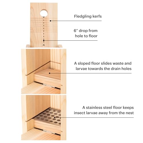 WHITEHORSE Bluebird House - Weatherproof Bird House for Outdoors - Cedar Birdhouse Built to NABS Specs - Nest Box for Bluebirds, Chickadees, Titmice, Wrens, Nuthatches & More (15” Floor)