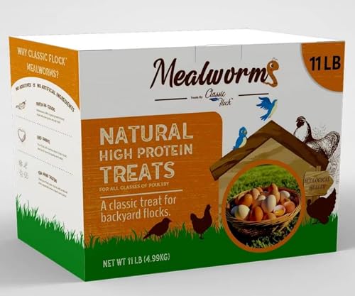 Classic Flock 11LB Dried Mealworms, High Protein for Chickens & Birds | Natural-Sourced Worms, No Fillers or Preservatives, Low Dust, Suitable for Chickens, Ducks, Reptiles - size: 11 Pound (Pack of 1)