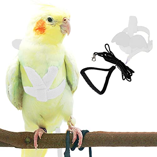 Pet Parrot Bird Harness and Leash, Adjustable Training Design Anti-Bite, Bird Nylon Rope with Cute Wing for Parrots, Suitable for Alexandrine, Scarlet, Keck, Mini Macaw Same Size Birds (White) - color: White