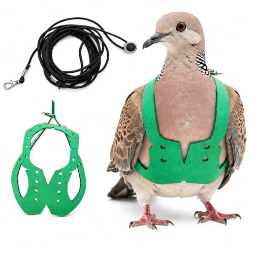 Adjustable Bird Harness & Leash Set for Small Birds,FitsBudgie,Parakeets, Conures, Cockatiels,Green Cheek,Quaker Parrots(Green, XL) 6350-13 - color: Green, size: XL,for Mourning Dove and similar size birds