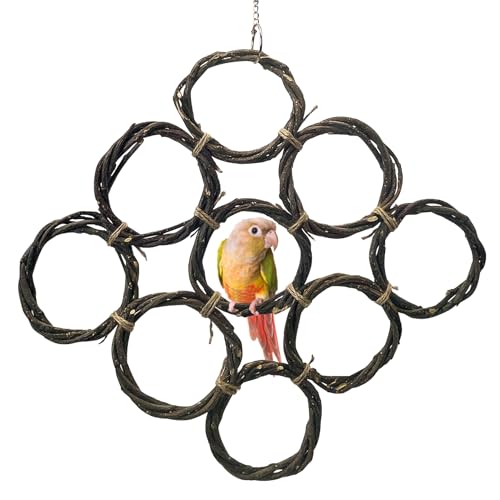 BNOSDM Bird Swing Rings Toy Natural Wood Parrot Climbing Ladder Parakeet Chewing Toys Hanging Budgie Cage Accessories for Green Cheek Conure Cockatiel Lovebird (9 Rings)