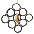 BNOSDM Bird Swing Rings Toy Natural Wood Parrot Climbing Ladder Parakeet Chewing Toys Hanging Budgie Cage Accessories for Green Cheek Conure Cockatiel Lovebird (9 Rings)