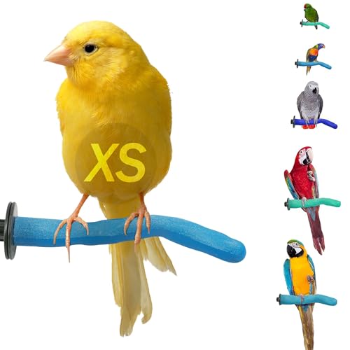 Sweet Feet and Beak Safety Pumice Bird Perch, X-Small Pedicure Perch, Blue | Plastic Bird Nail Trimming Perch, Pumice Coated Surface for Healthy Feet and Beak, 6" Lightweight Perch, Available In 5 Sizes - color: Blue, size: X-Small 6"