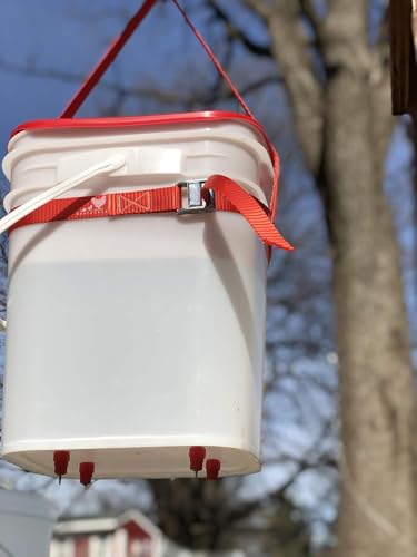 RentACoop Hanging Strap for Chicken Waterers and Feeders