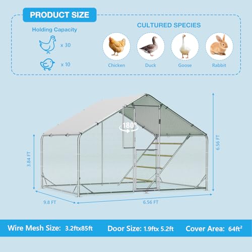 Large Metal Chicken Coop, Outdoor Chicken Run with Cover, 10 x 6.5 x 6.5 FT | Heavy-Duty Poultry Enclosure & Chicken Pen with Split Doors, Galvanized Steel Frame, Free Wire Mesh Fence and Roosting Ladder - size: 10' x 6.5'