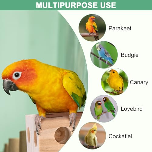 M METERXITY Bird Chew Play Thing, 2.12x2.12x7.87 in Pine Wood Parrot Bird Perch Stand Teeth Chew Bite Games for Parrots/Cockatiels/Parakeets - size: 2.12x2.12x7.87 in