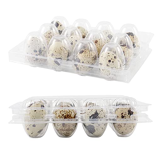 JOIKIT 150 PCS 12 Cavity Quail Egg Cartons Bulk, 3x4 Style Stackable Clear Plastic Small Quail Egg Holder Cartons Cheap Bulks for Quail Eggs Farm Market Refrigerator Display - size: 150PCS