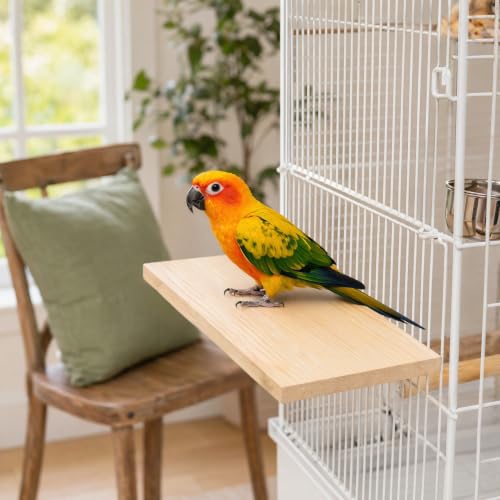 Okllen 3 Pack Bird Perch Stand, Parrot Wood Platform, Natural Wooden Perch Toys Playground Cage for Conure, Chinchilla, Parakeet, Budgie, Cockatiel