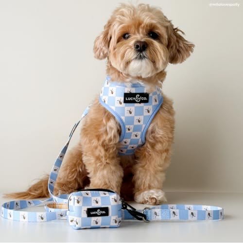 Lucy & Co. Bumbling Around Dog Leash, Durable Matching Dog Lead with Heavy Duty Hardware, Small - color: Bumbling Around, size: Small