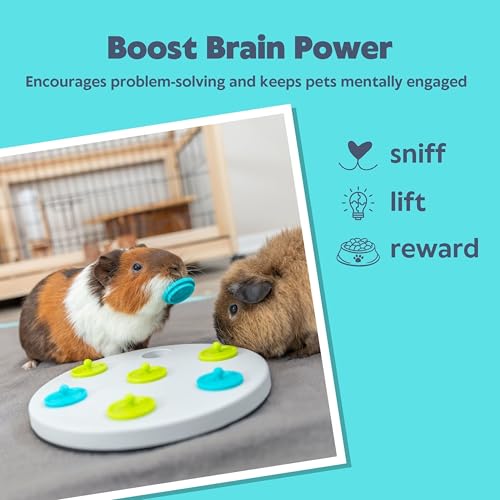 Trixie Rabbit Snack Board, Interactive Toy, Small Animal Puzzle, Mental Stimulation, Rabbit, Ferret, Bunny, Chinchilla