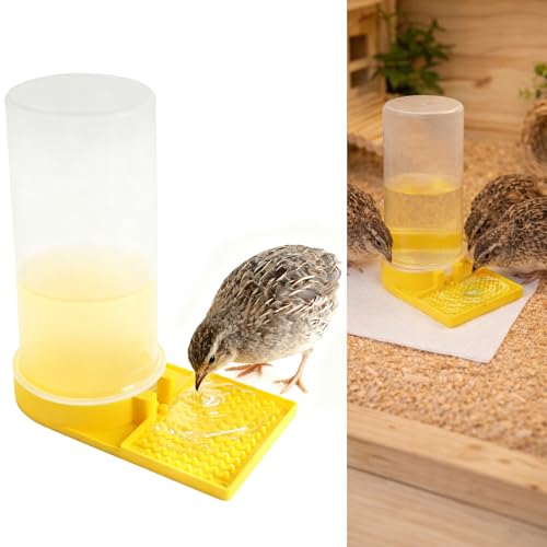 Ultra Leak-Proof Quail Chick Water Feeder – Premium Large Capacity, Non-Toxic & Durable, Ideal Button Quails Waterer, No-Spill Quail Coop & Poultry Supplies for Easy Hydration
