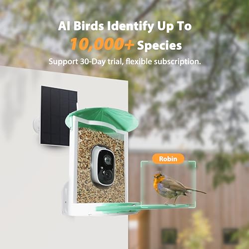 Smart Bird Feeder with Camera Solar, Auto Capture Bird Videos & Motion Detection, Birds Watching Camera Notify in Time, Metal Birds Feeder with Seed Guard, Ideal Present for Mom (Green) - color: Mint Green