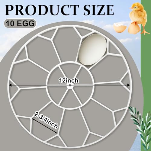 Teenyyou 3 Pcs 10 Egg Capacity Tray Jumbo Goose Turkey Peacock Egg Heavy Breeds Tray Compatible with JGT360 Nurture Right 360 Incubator Turner, White