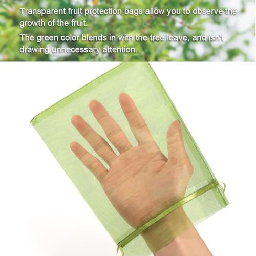 Shintop 100Pcs Fruit Protection Bags, 6x9inch Green Fruit Tree Net Cover | Drawstring Mesh Tomato Bags, Fine Mesh Blocks Bugs, Breathable Sheer Organza, Gentle on Delicate Stems, Fits Apples, Mango - size: 6x9 inch