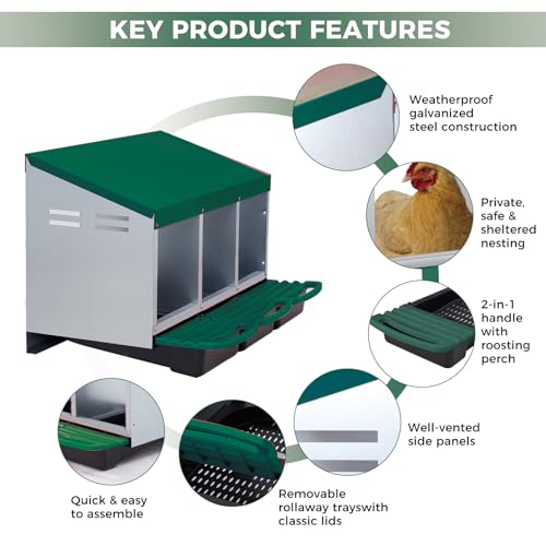 Chicken Nesting Box 3-Compartment Roll-Out with Pull-Out Trays, Egg Nesting Boxes for Hens, Chicken Coop Laying Box,Easy Wall Mounting with Metal Legs - color: green, size: 3 holes